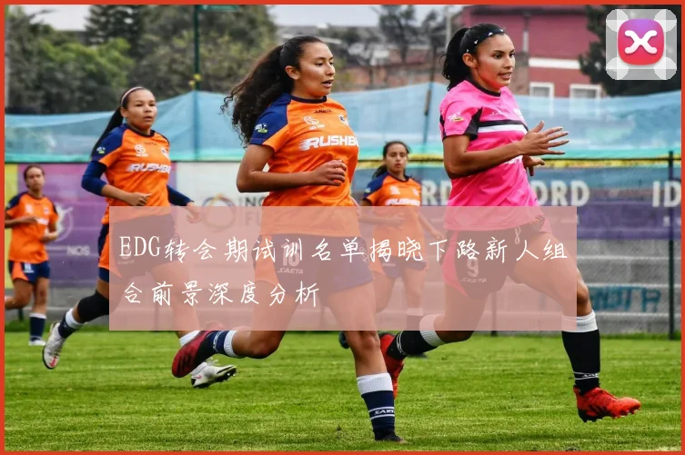 EDG转会期试训名单揭晓下路新人组合前景深度分析